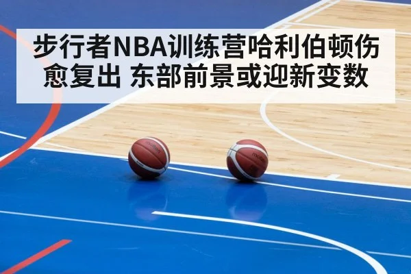 步行者NBA训练营哈利伯顿伤愈复出 东部前景或迎新变数